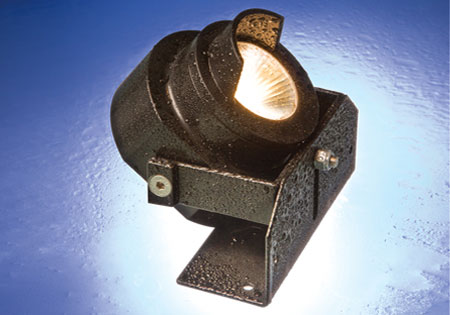 D100